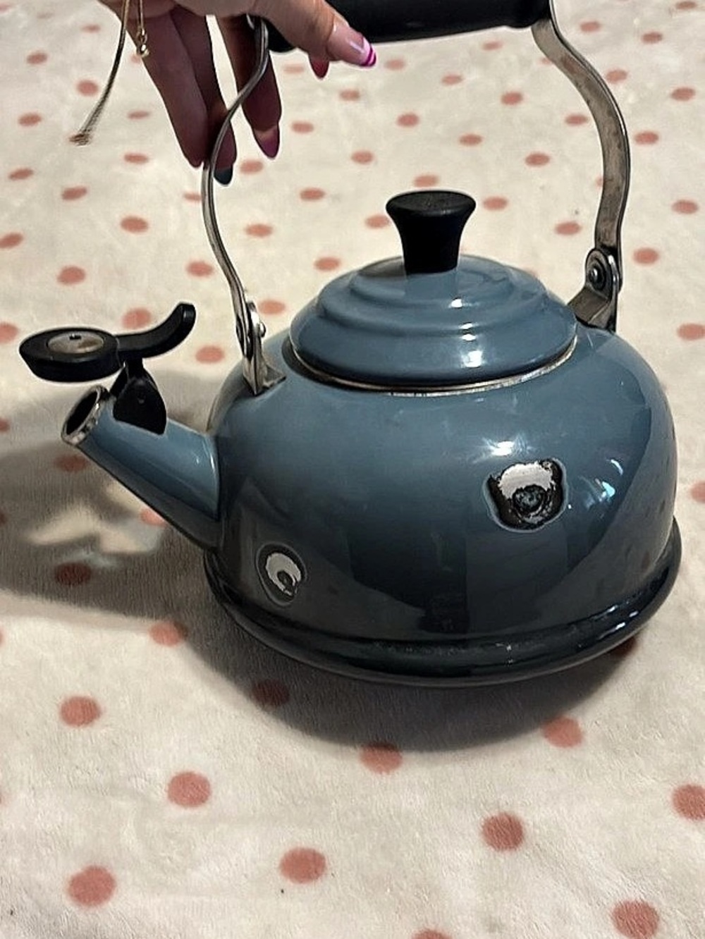 Le Creuset Enamelled Steel Whistling Teakettle Blue